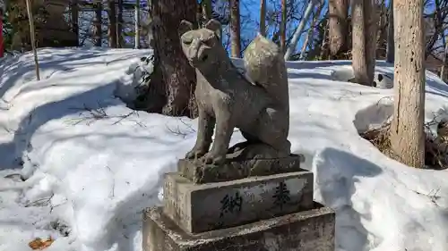 豊富温泉稲荷神社の狛犬