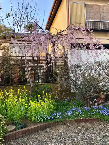 雲光院の庭園