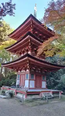 浄瑠璃寺(京都府)