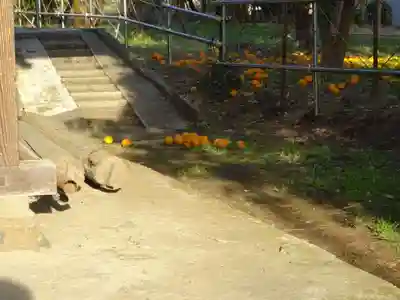 日枝神社（新戸）(神奈川県)