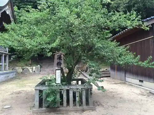 深江神社の御朱印