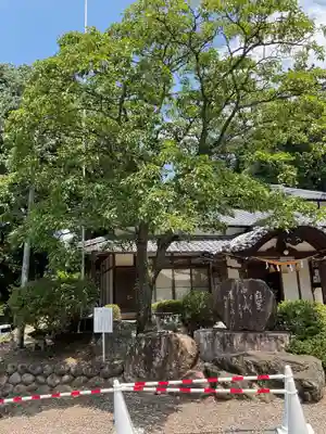 尾張冨士大宮浅間神社の自然
