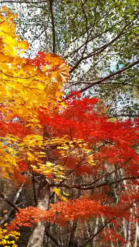 西の里神社の周辺