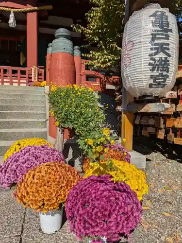 亀戸天神社のお祭り