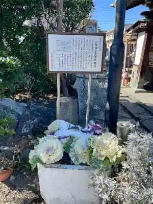 円頓寺(東京都)