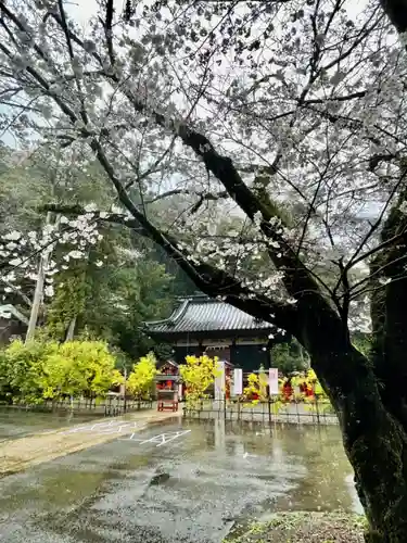 静岡浅間神社(静岡県)