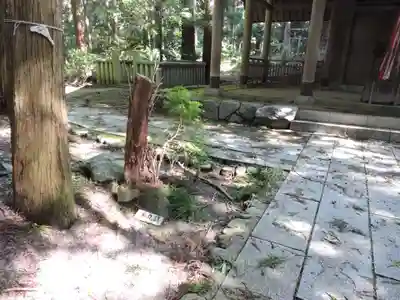 千早神社(大阪府)