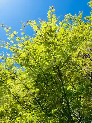 長谷寺(神奈川県)