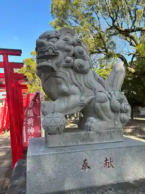 於菊稲荷神社の狛犬