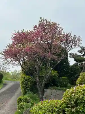 花王院(岐阜県)