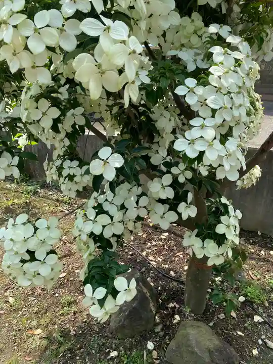 福泉寺(神奈川県)