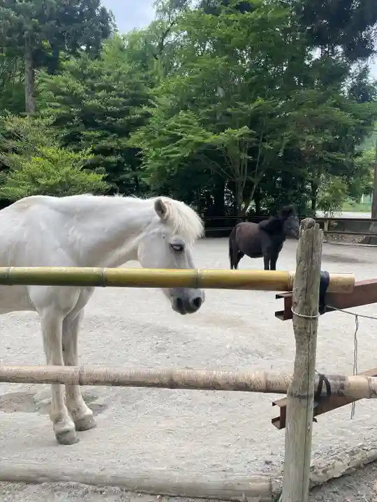 丹生川上神社(下社)(奈良県)