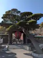 長谷寺(神奈川県)