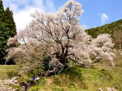 仏隆寺(奈良県)