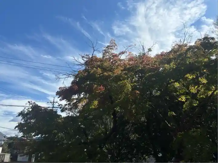 七所神社(愛知県)