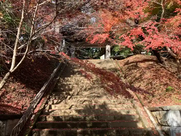 飯高寺(千葉県)