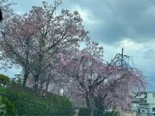 狭山神社(大阪府)