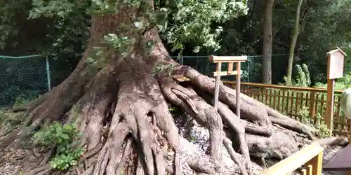 和泉國一之宮　大鳥大社(大阪府)