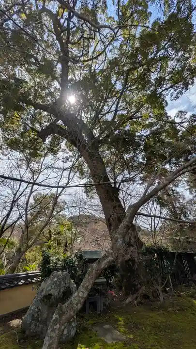 十輪寺(京都府)