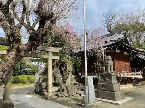 牛嶋神社(東京都)