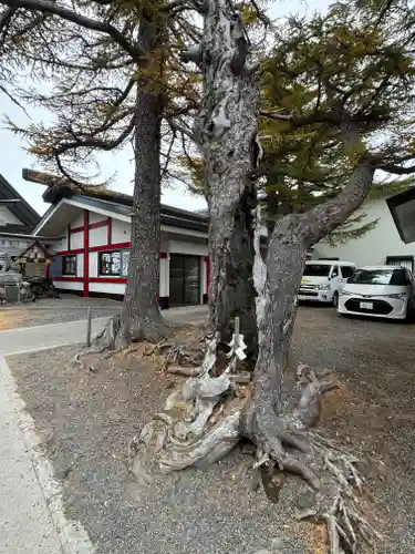 冨士山小御嶽神社(山梨県)