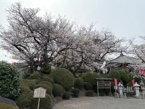 不動寺(大阪府)