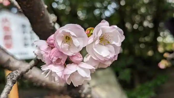 大報恩寺(千本釈迦堂)(京都府)