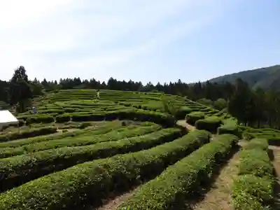 鶏足寺(滋賀県)