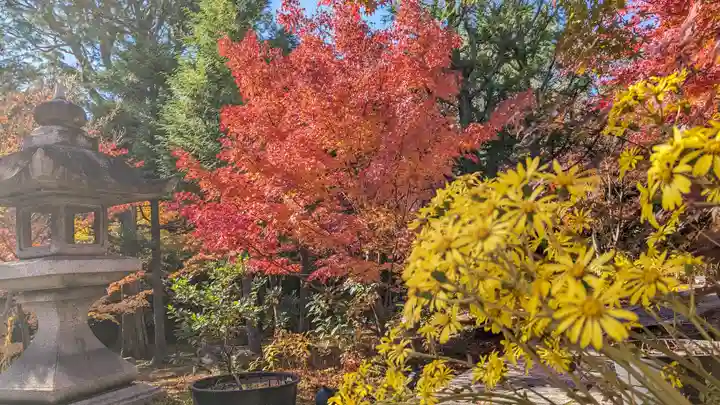 勝林寺(京都府)