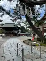 白山神社(新潟県)