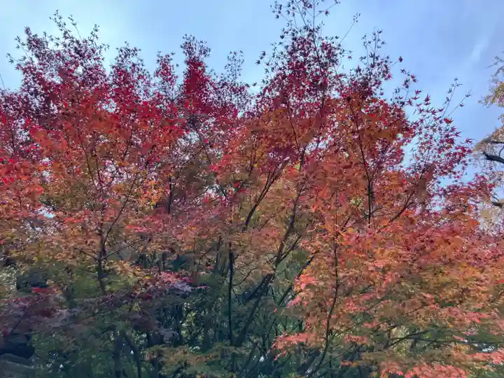 淨眞寺(東京都)