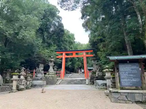 春日大社の鳥居