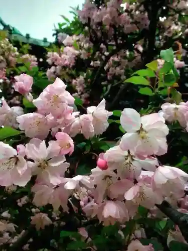 龍光寺(東京都)