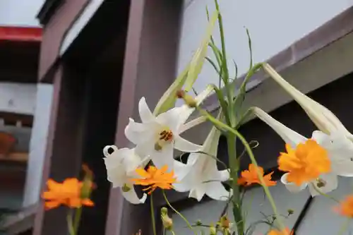 大鏑神社の庭園