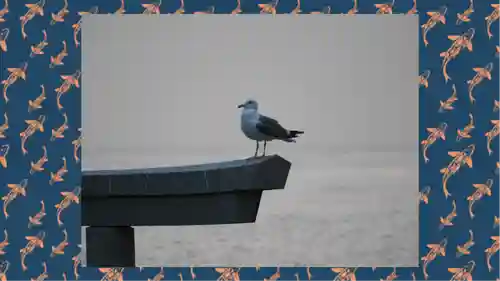 大洗磯前神社(茨城県)