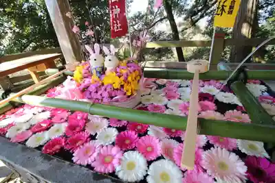 唐澤山神社(栃木県)