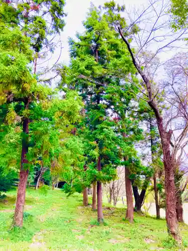 金嶽神社の自然