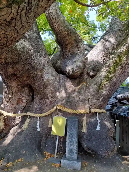 三島神社(大阪府)