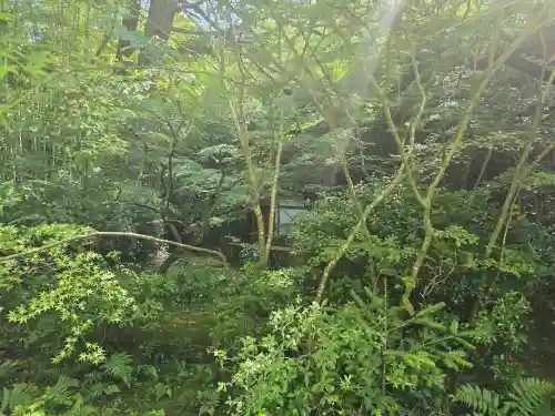 滝口寺(京都府)