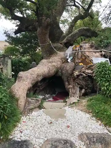 牛嶋天満宮の建物その他