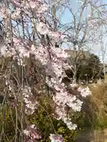 境香取神社の自然