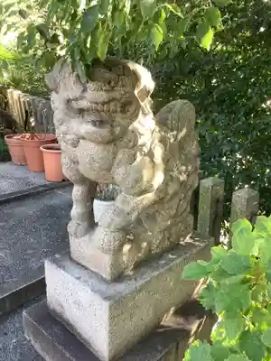 白山神社(新栄)の狛犬