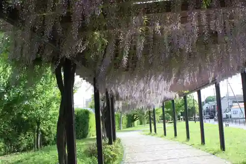 松尾神社(京都府)