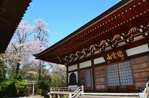 龍峰寺の本殿・本堂