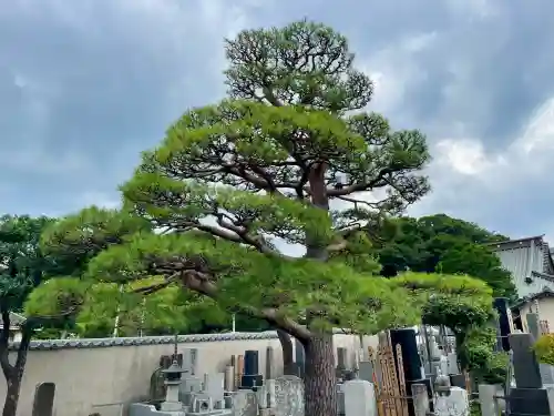 大運寺(神奈川県)