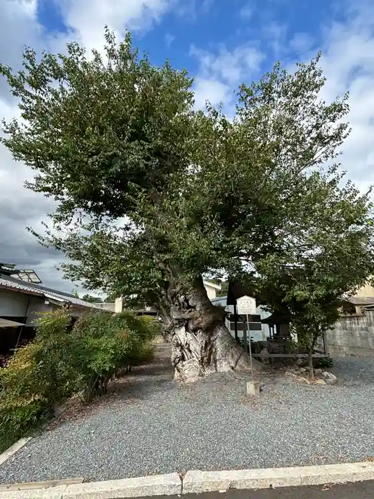 蔵林寺(京都府)