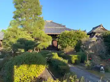 專稱寺(専称寺)の本殿・本堂