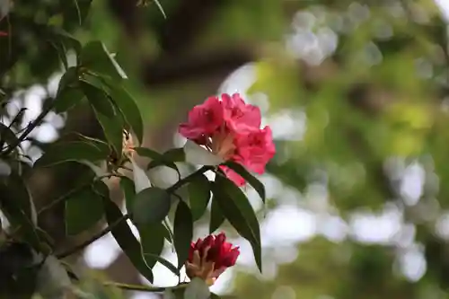 阿邪訶根神社の庭園