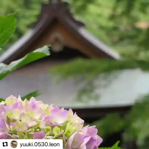 普門寺(切り絵御朱印発祥の寺)の自然