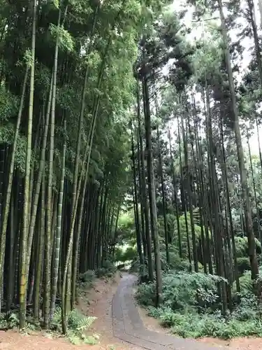 武雄神社の自然